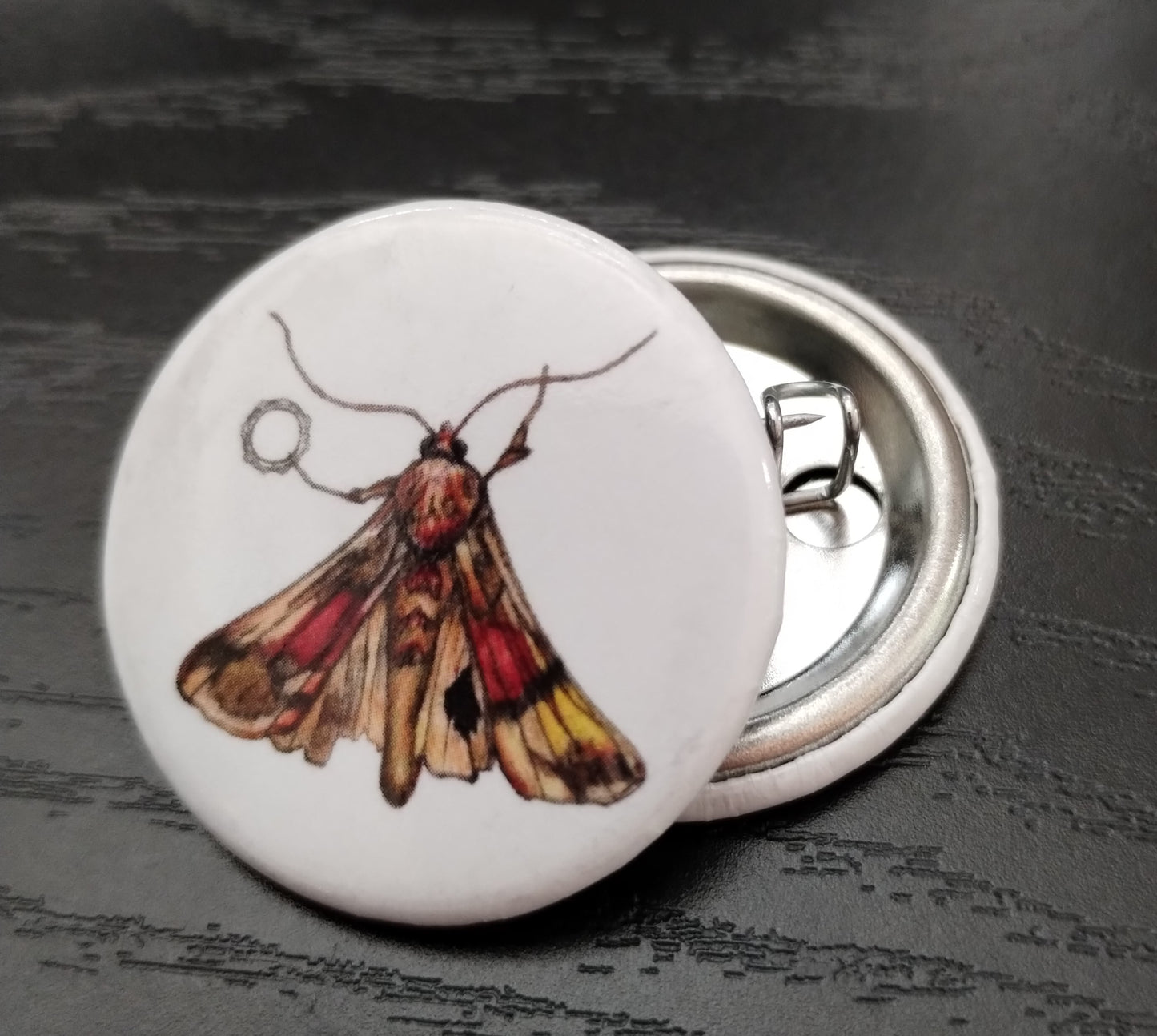 Moth Button Pin