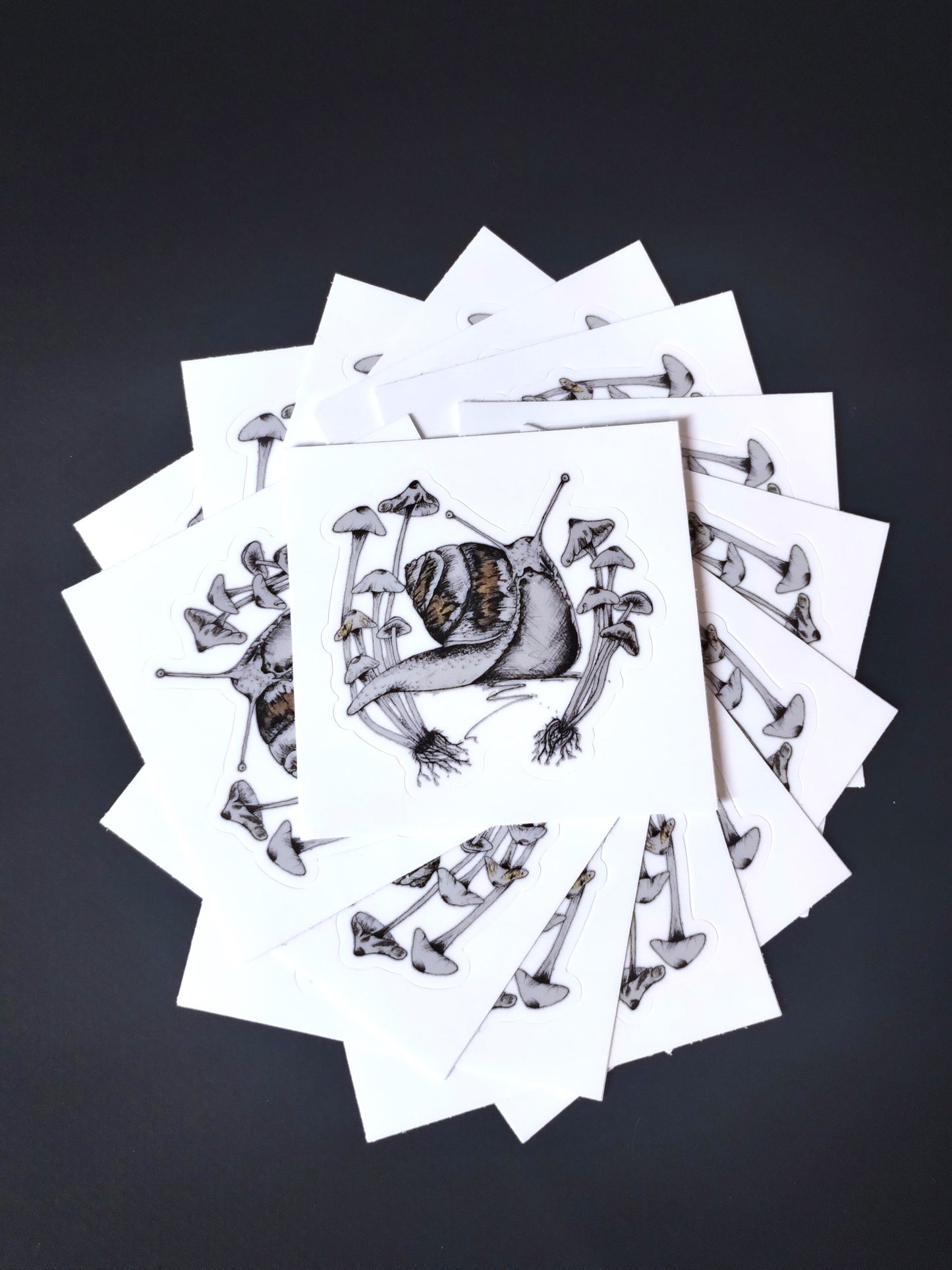 Snail Easy Peel Sticker