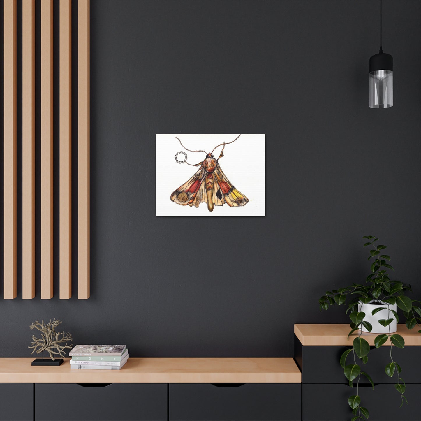 Moth -Canvas Gallery Wraps