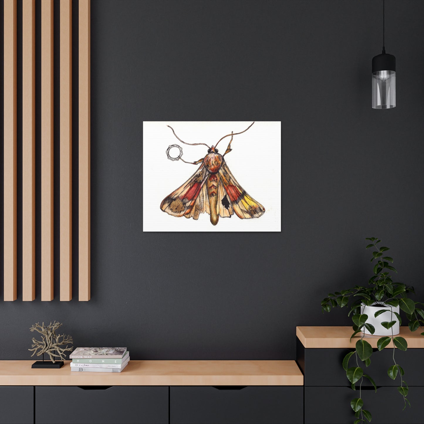 Moth -Canvas Gallery Wraps