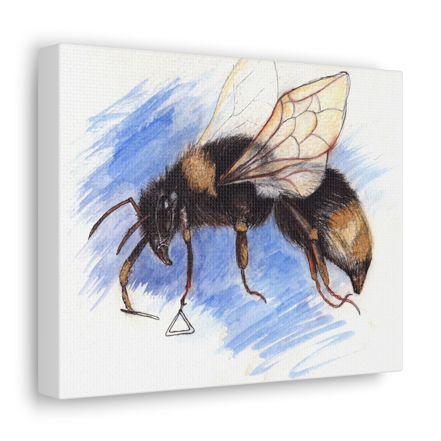 Whimsical Bee -Canvas Gallery Wraps