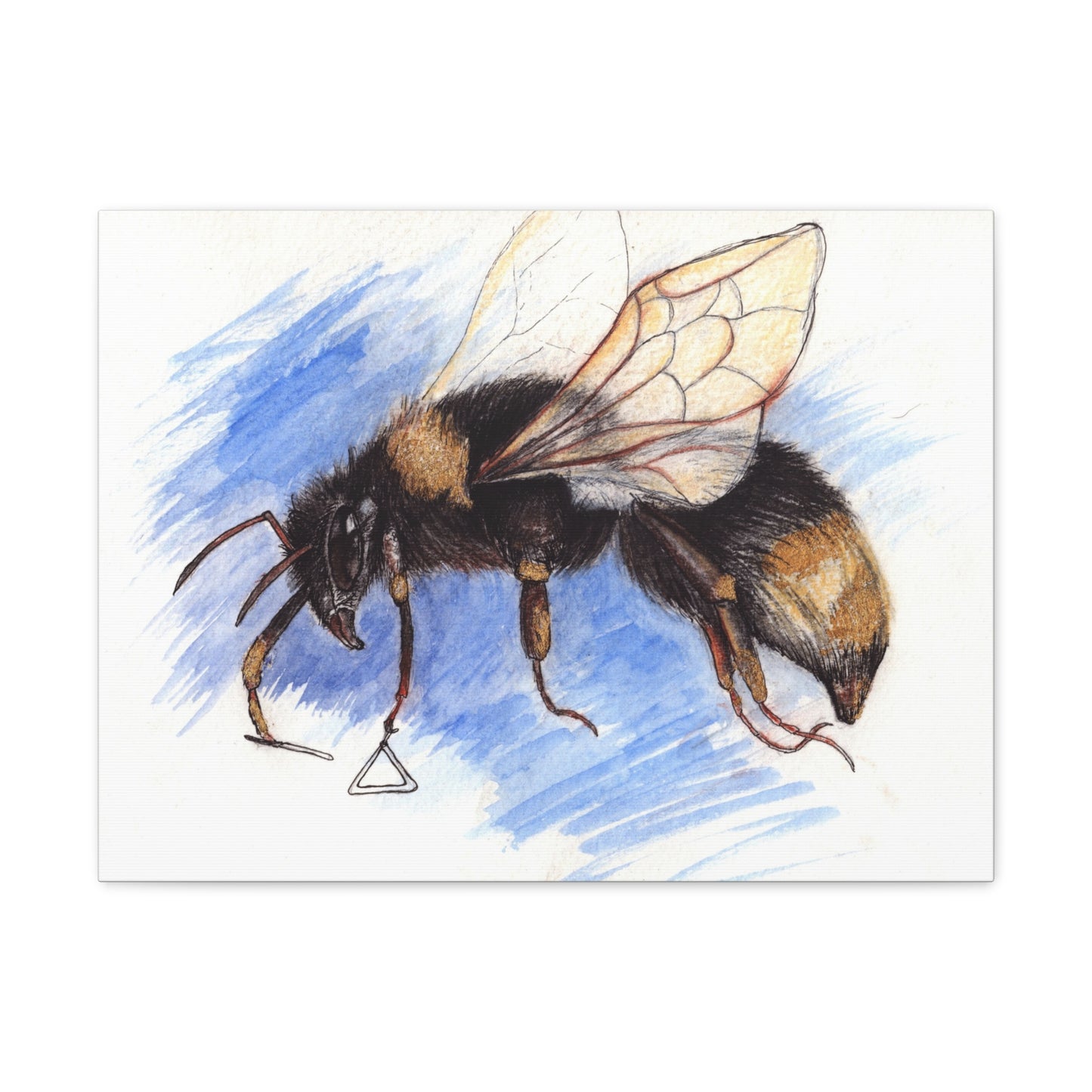 Whimsical Bee -Canvas Gallery Wraps