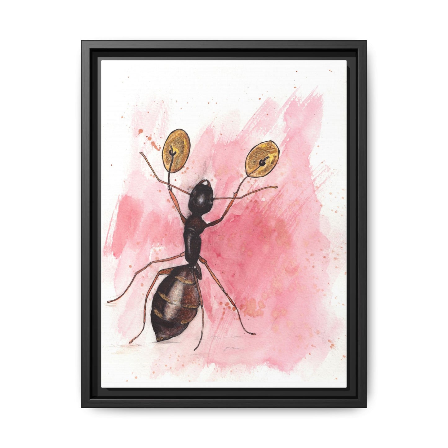 Ant With Symbols Print Matte Canvas, Black Frame