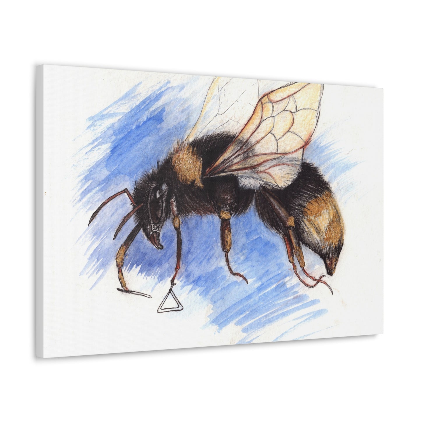 Whimsical Bee -Canvas Gallery Wraps