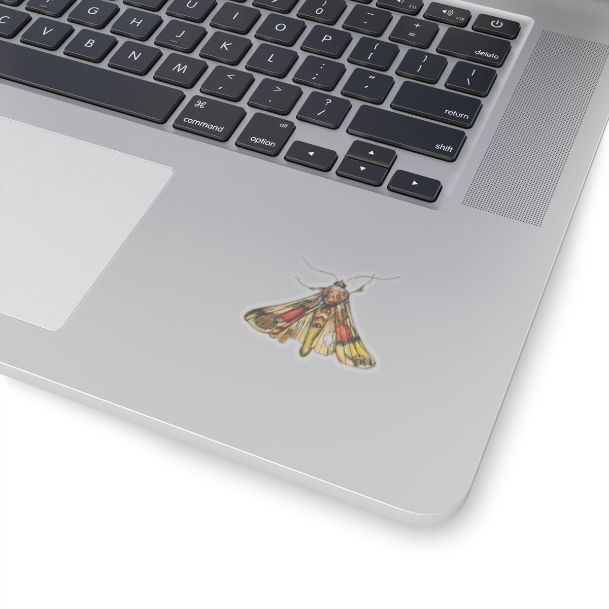 Moth Kiss-Cut Stickers