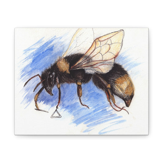 Whimsical Bee -Canvas Gallery Wraps