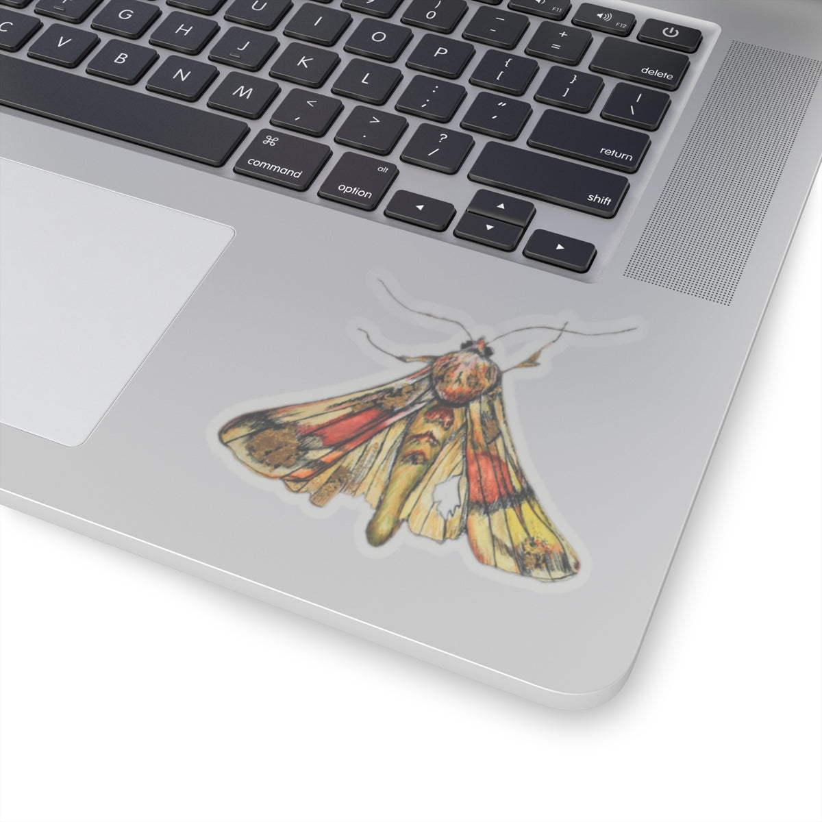 Moth Kiss-Cut Stickers