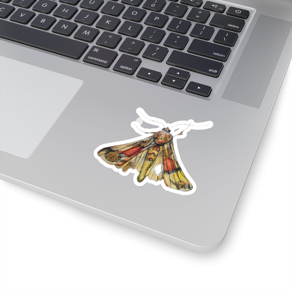 Moth Kiss-Cut Stickers