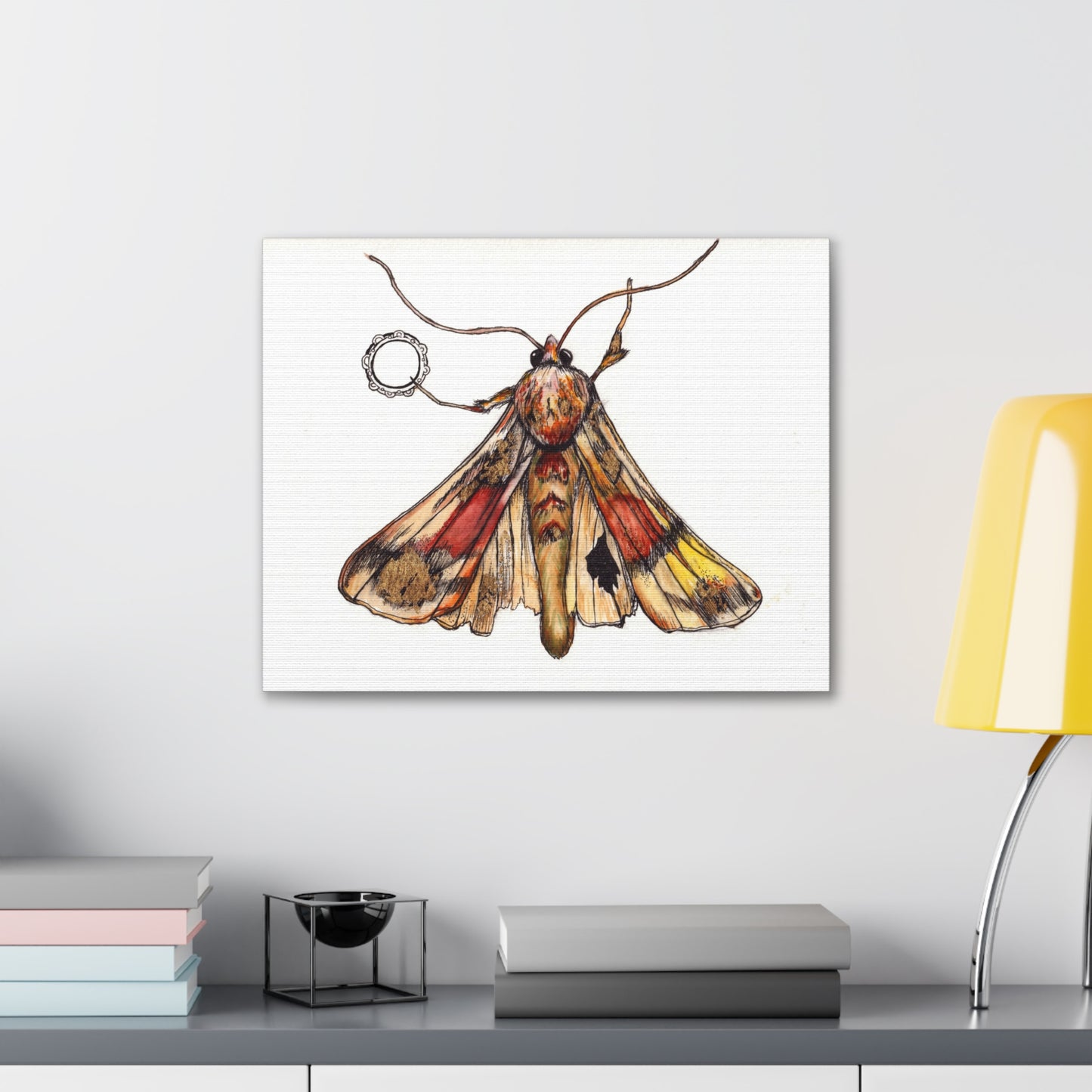 Moth -Canvas Gallery Wraps