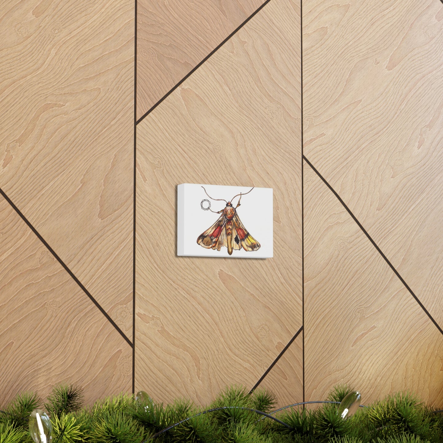 Moth -Canvas Gallery Wraps