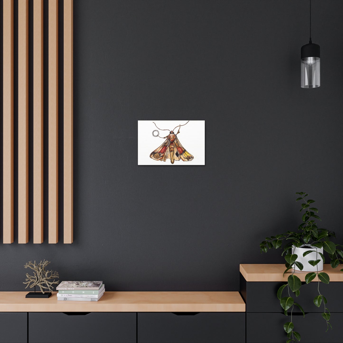 Moth -Canvas Gallery Wraps