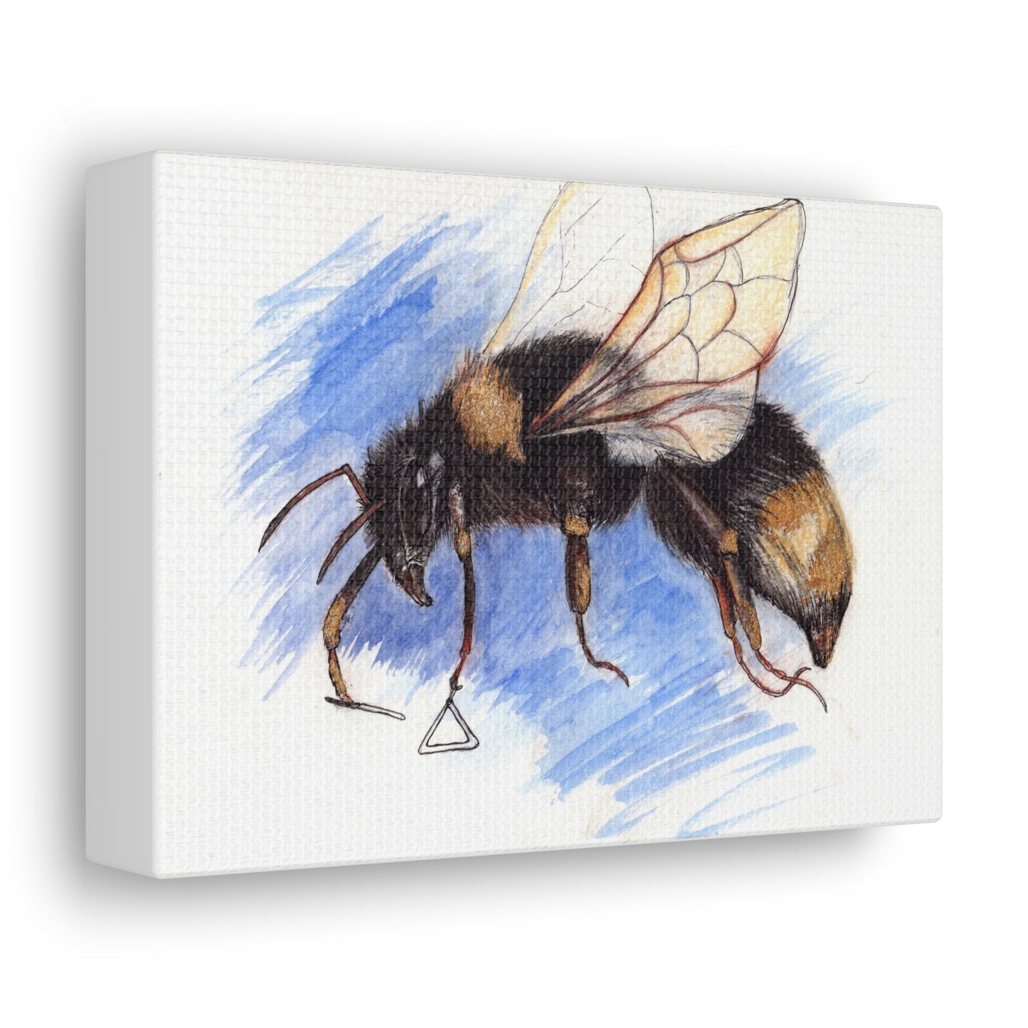 Whimsical Bee -Canvas Gallery Wraps