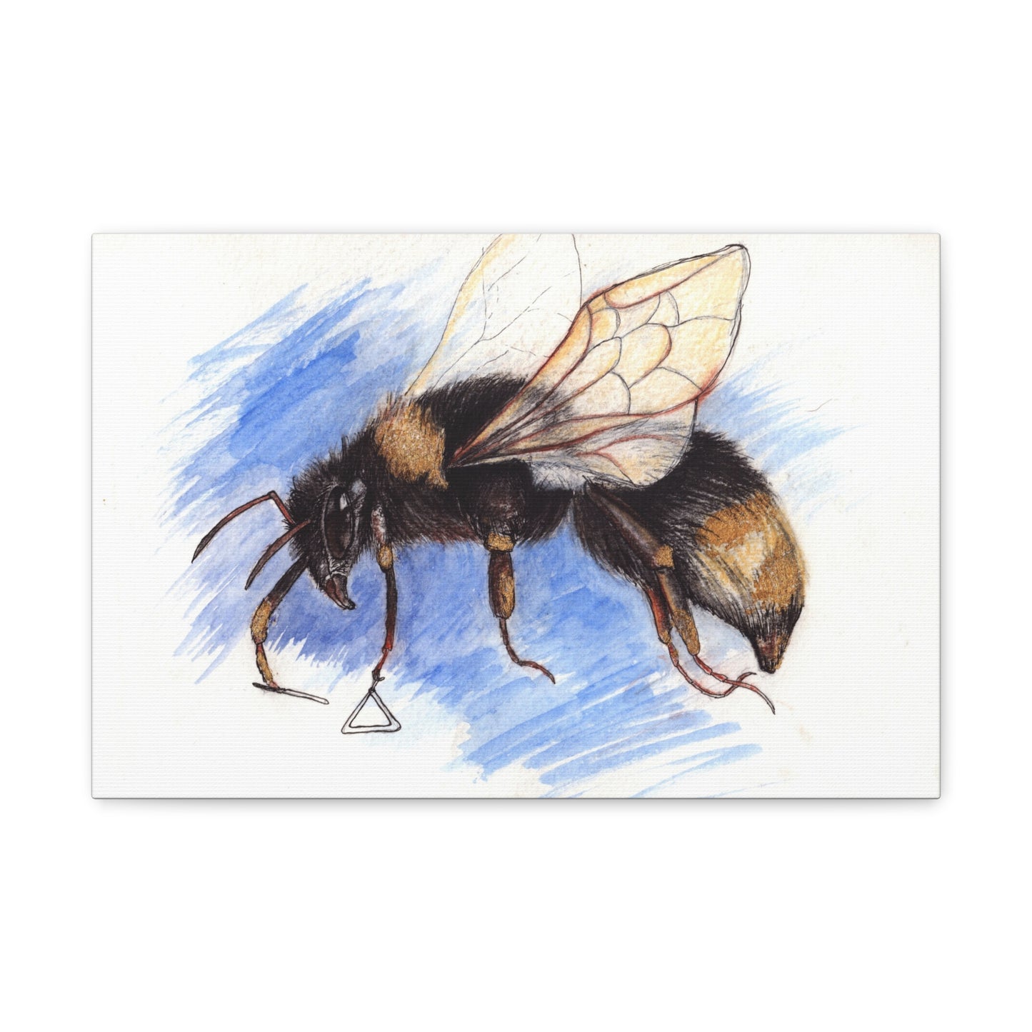 Whimsical Bee -Canvas Gallery Wraps