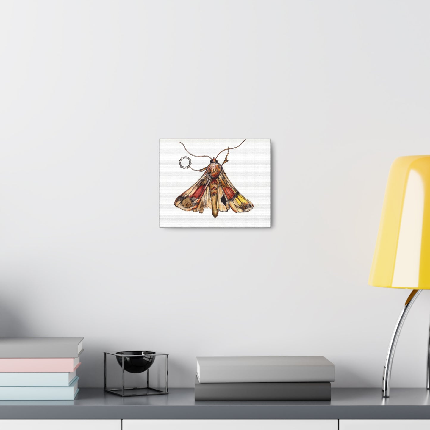 Moth -Canvas Gallery Wraps