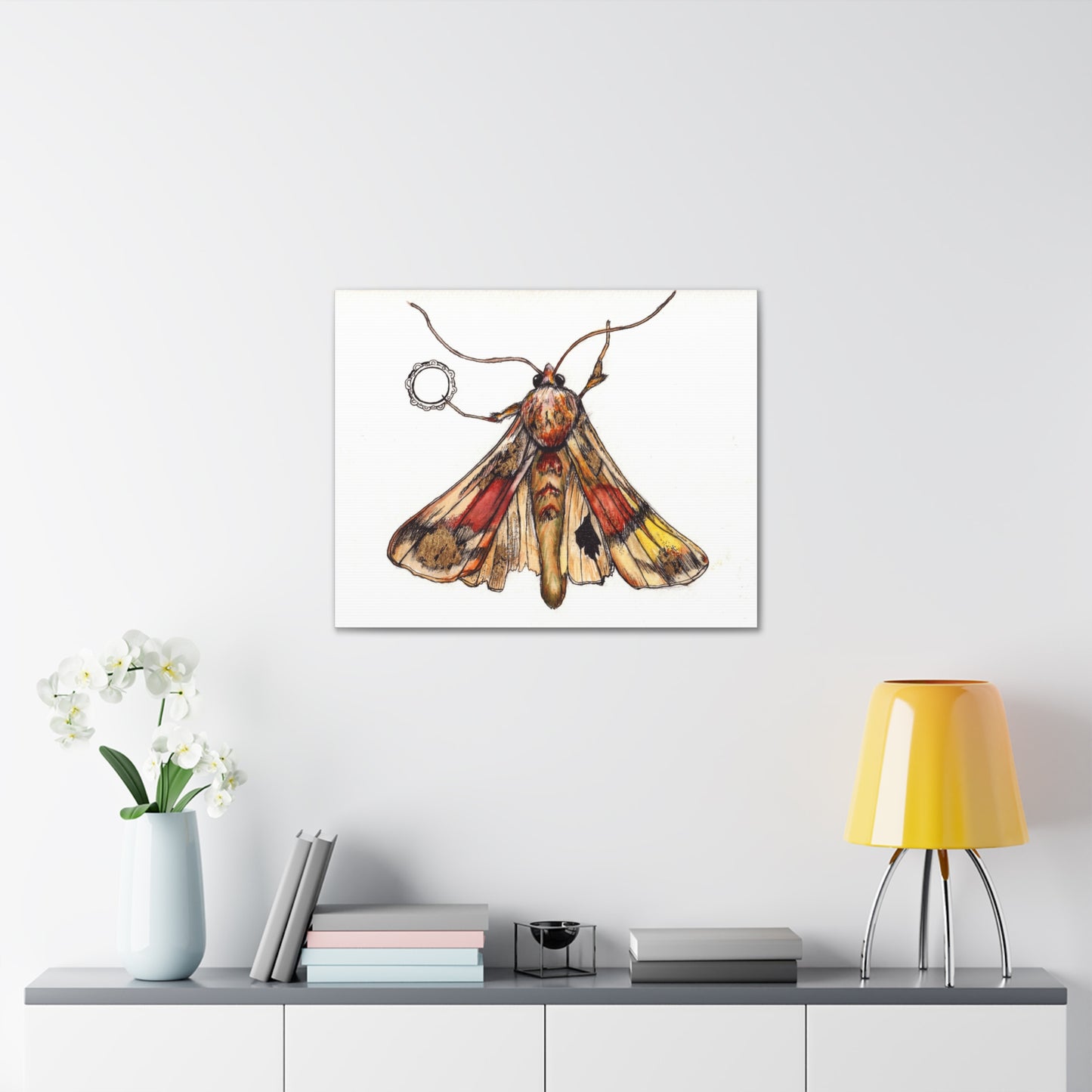 Moth -Canvas Gallery Wraps