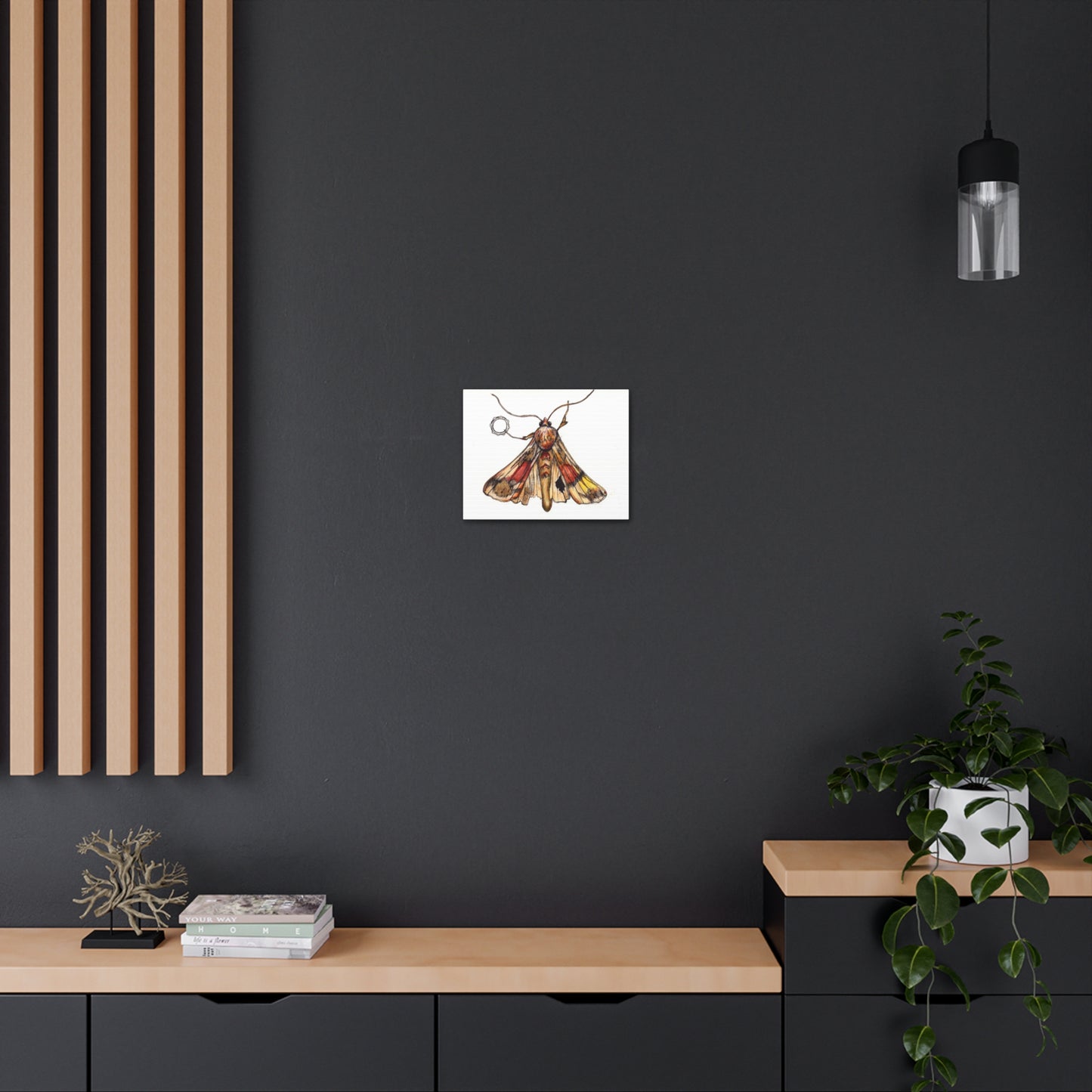 Moth -Canvas Gallery Wraps