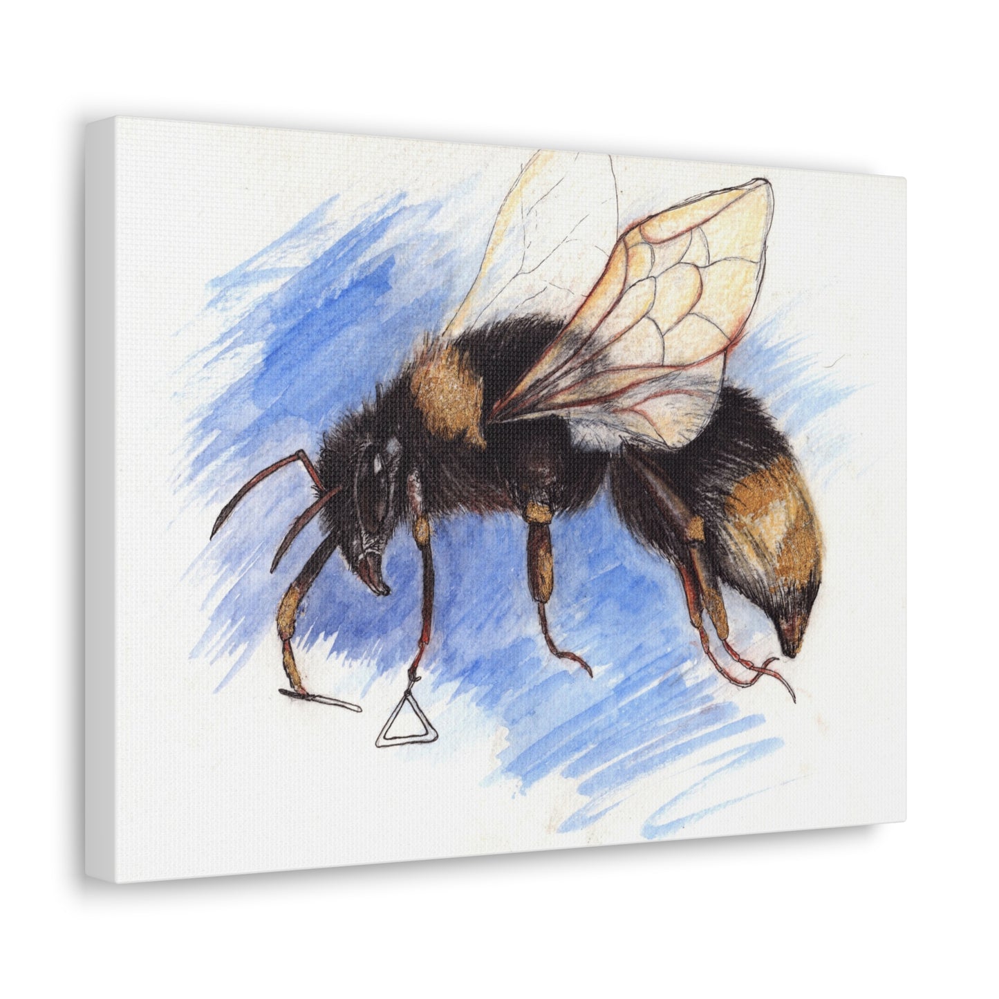 Whimsical Bee -Canvas Gallery Wraps