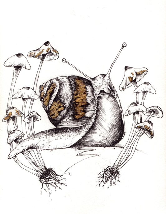 Snail - Original Unframed