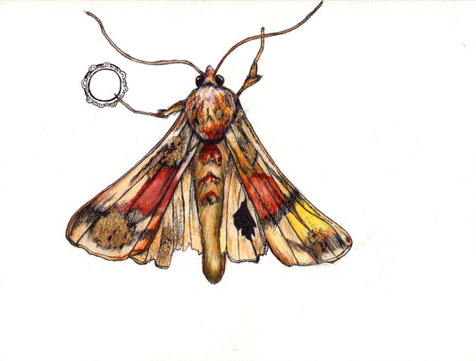 Moth - Original Unframed