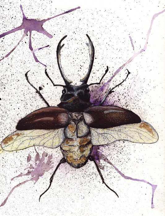 Beetle Splatter - Original Unframed