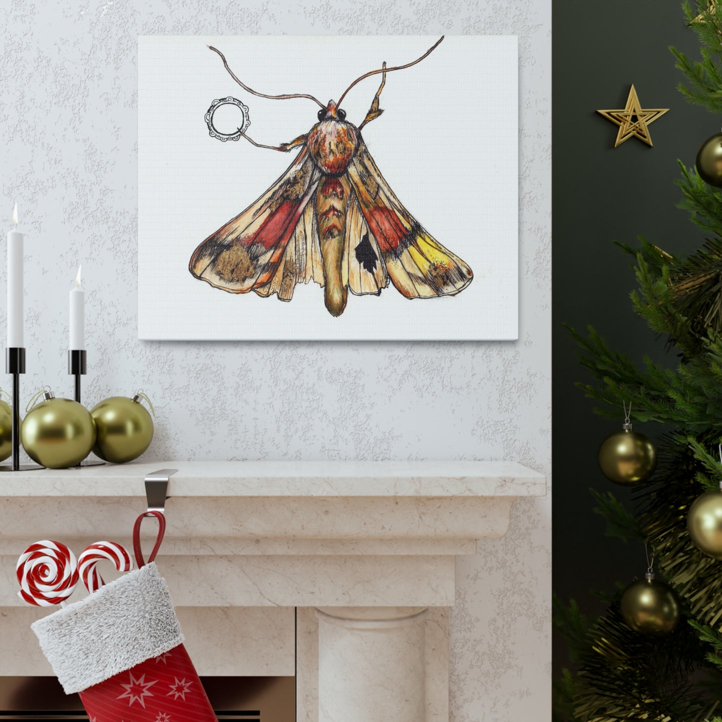 Moth -Canvas Gallery Wraps