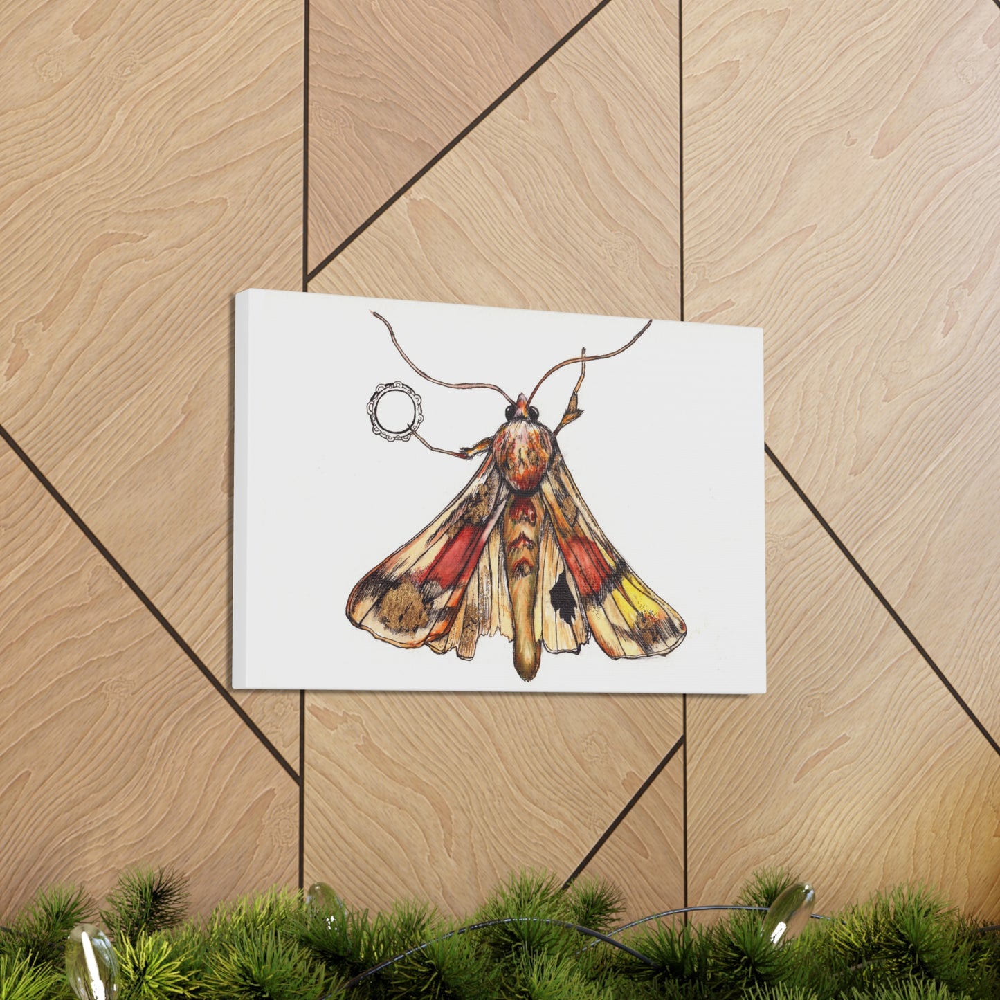 Moth -Canvas Gallery Wraps