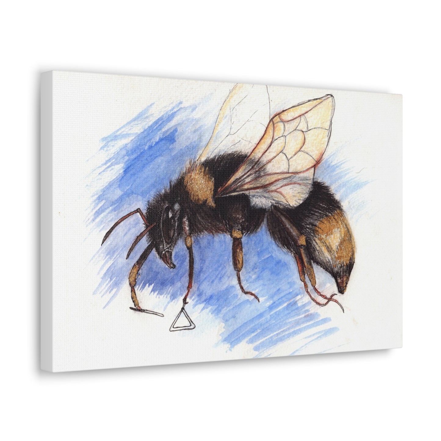 Whimsical Bee -Canvas Gallery Wraps