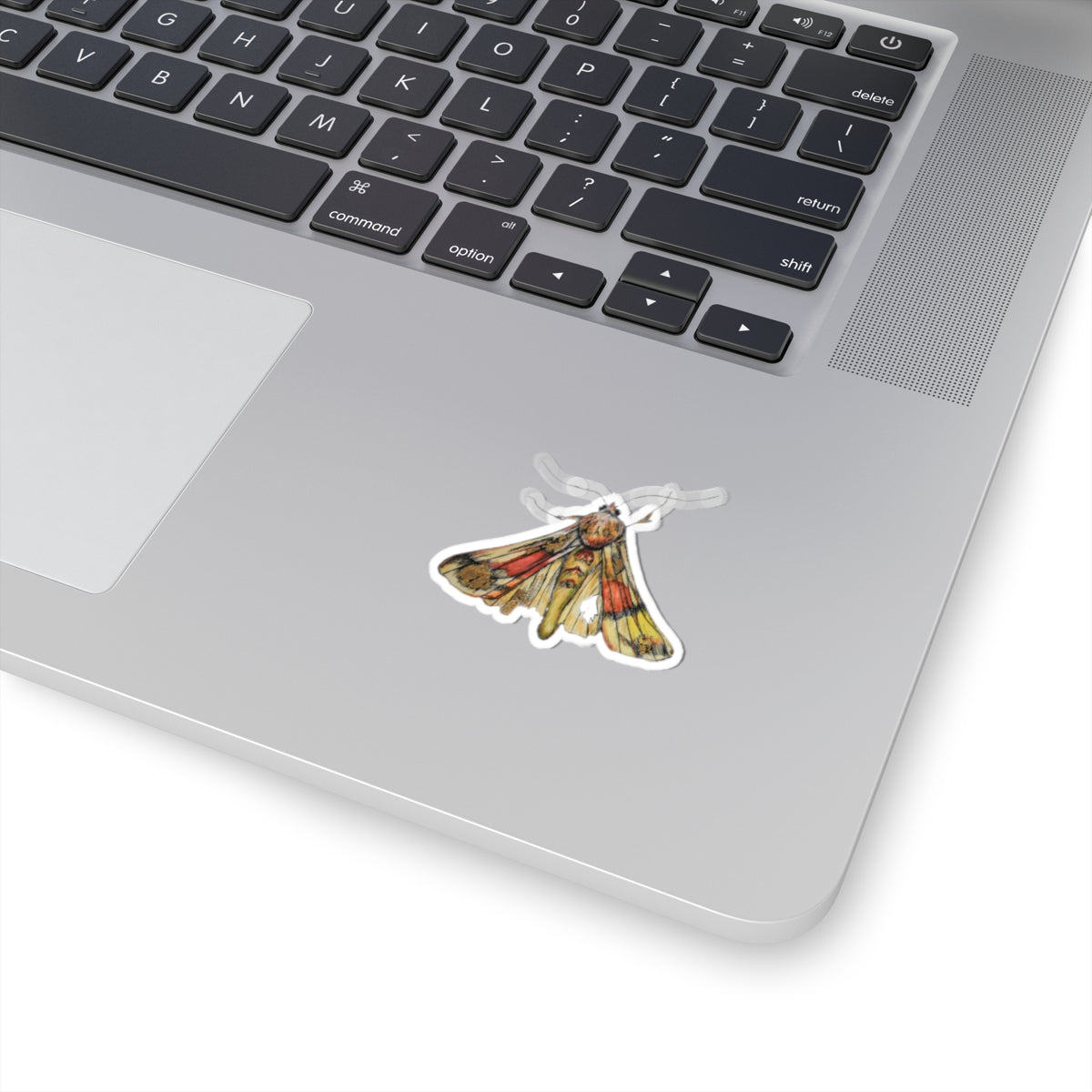 Moth Kiss-Cut Stickers