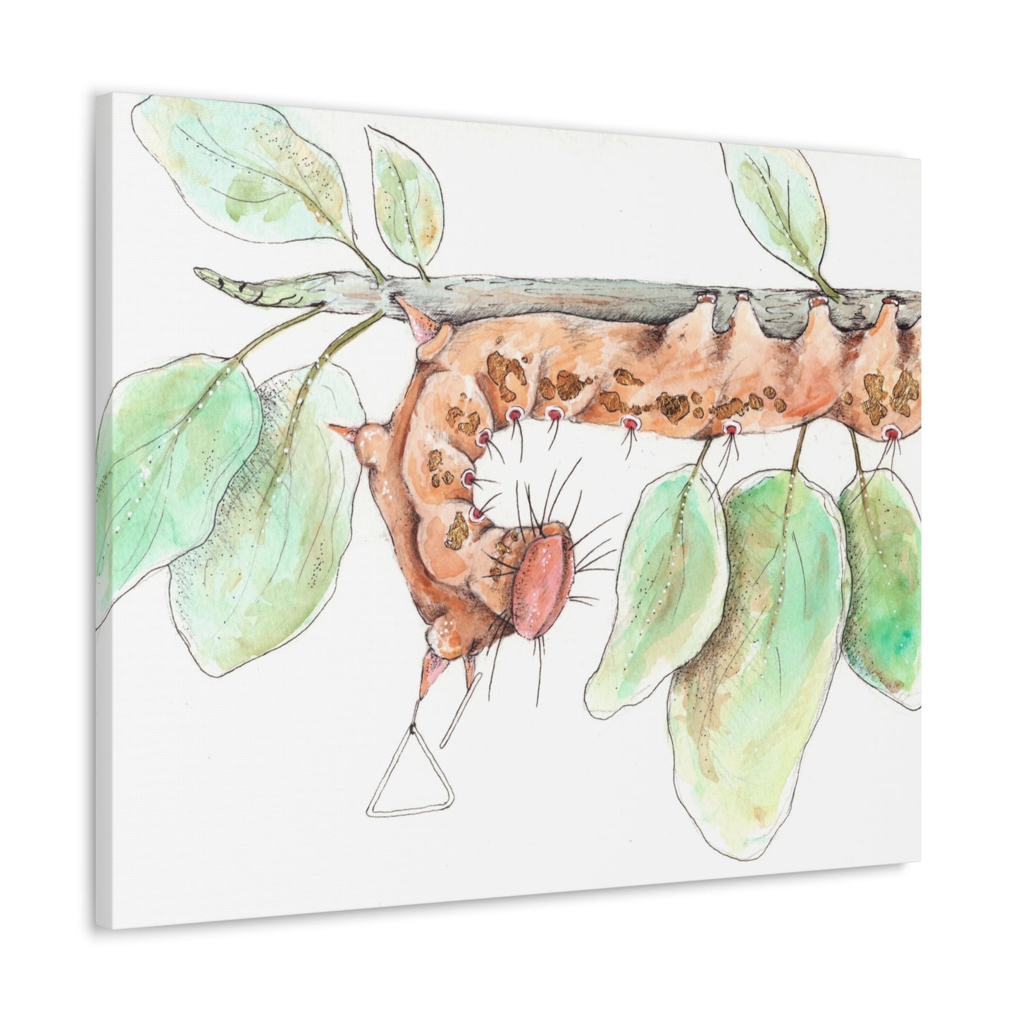 Caterpillar -Canvas Gallery Wraps