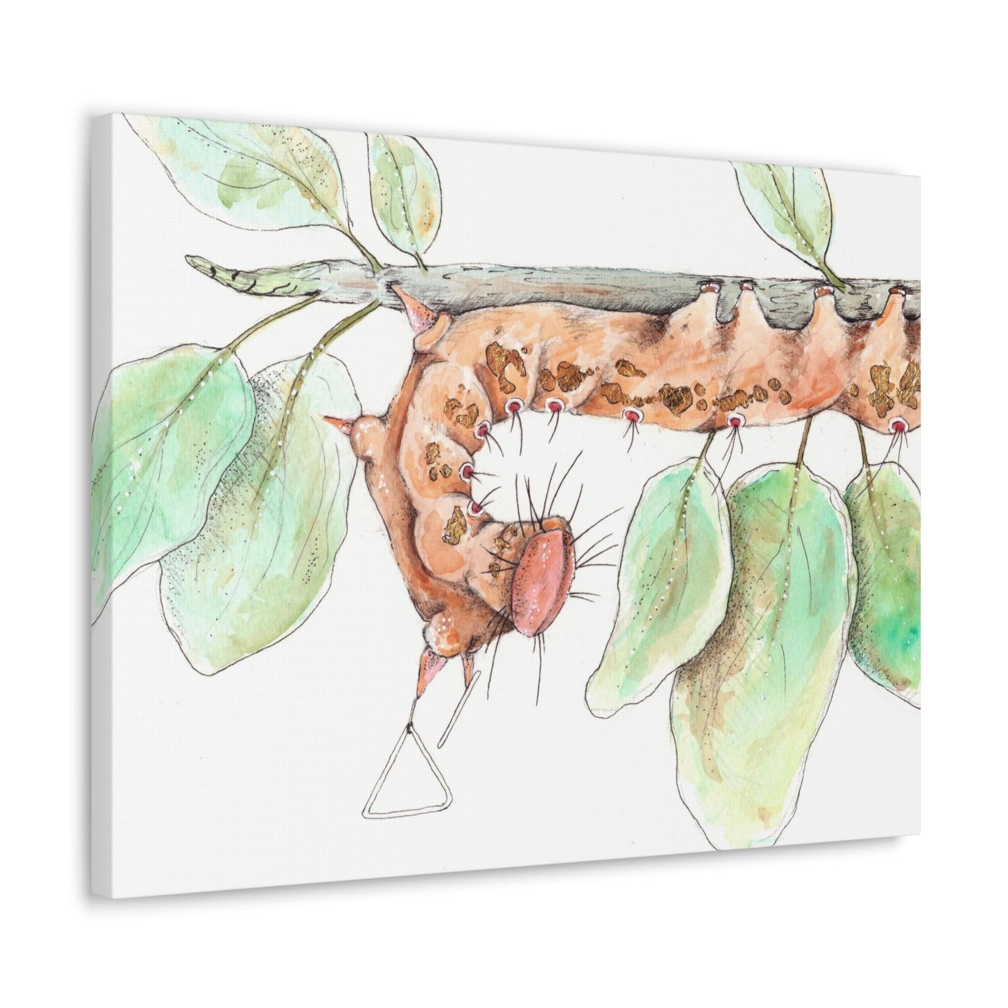 Caterpillar -Canvas Gallery Wraps