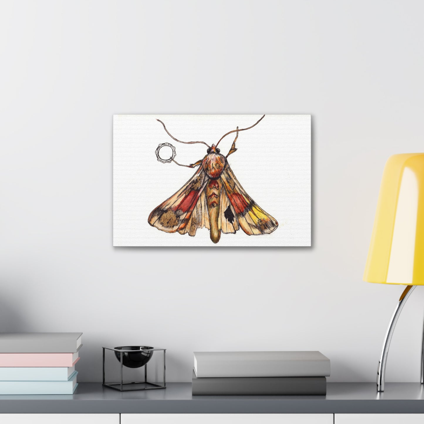 Moth -Canvas Gallery Wraps