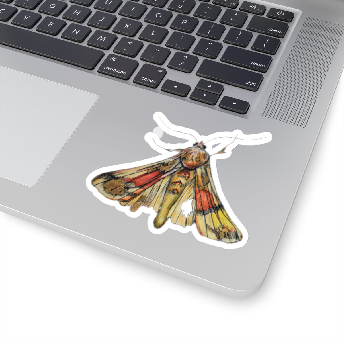 Moth Kiss-Cut Stickers