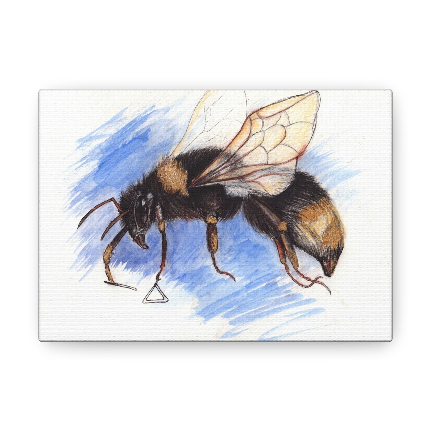 Whimsical Bee -Canvas Gallery Wraps