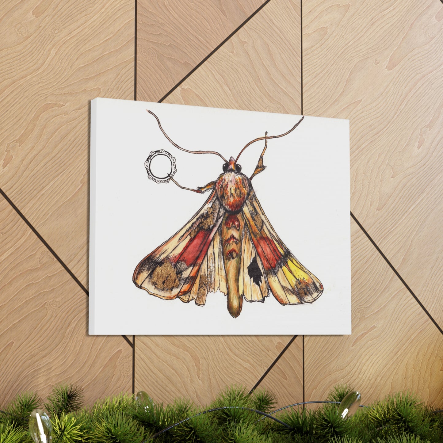 Moth -Canvas Gallery Wraps