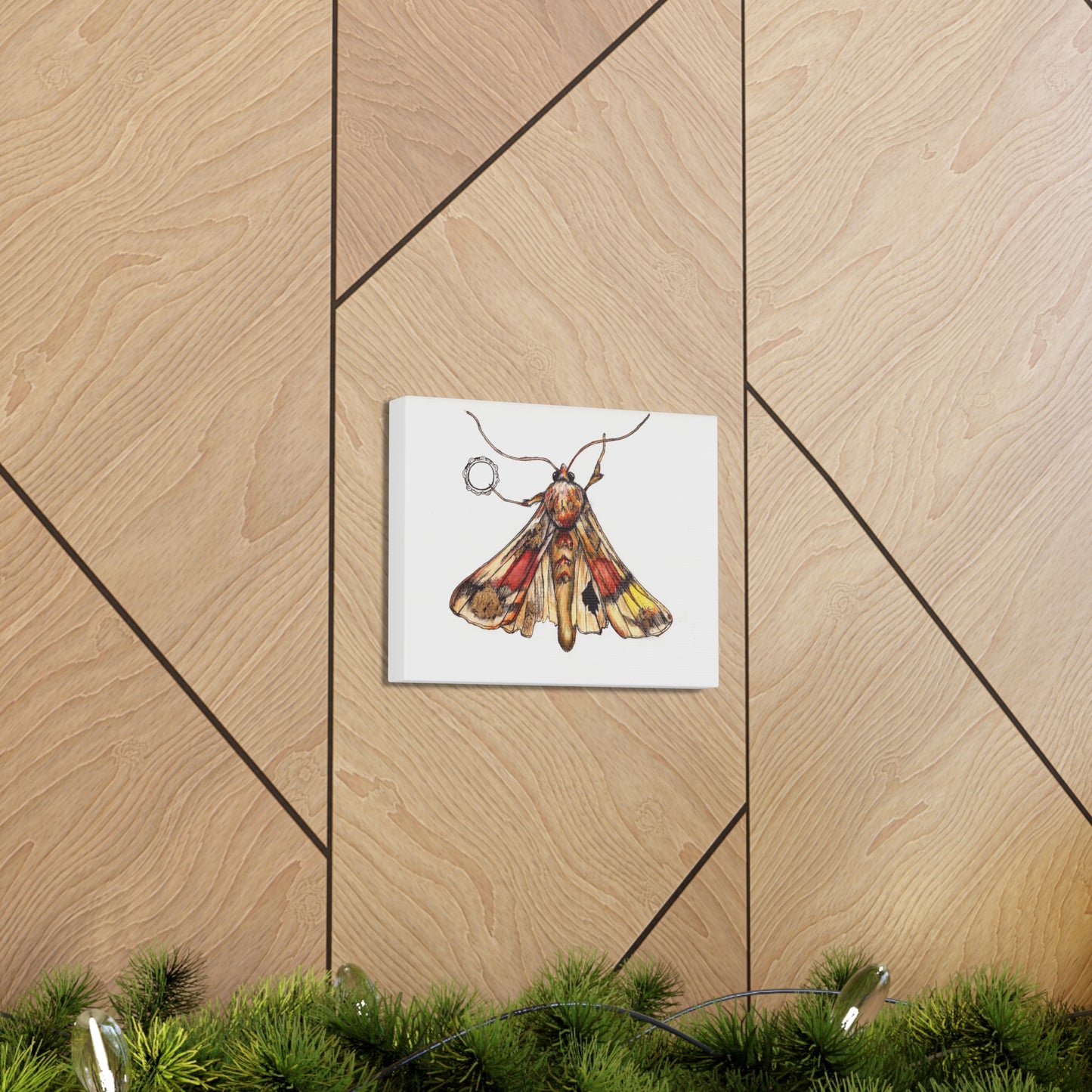 Moth -Canvas Gallery Wraps