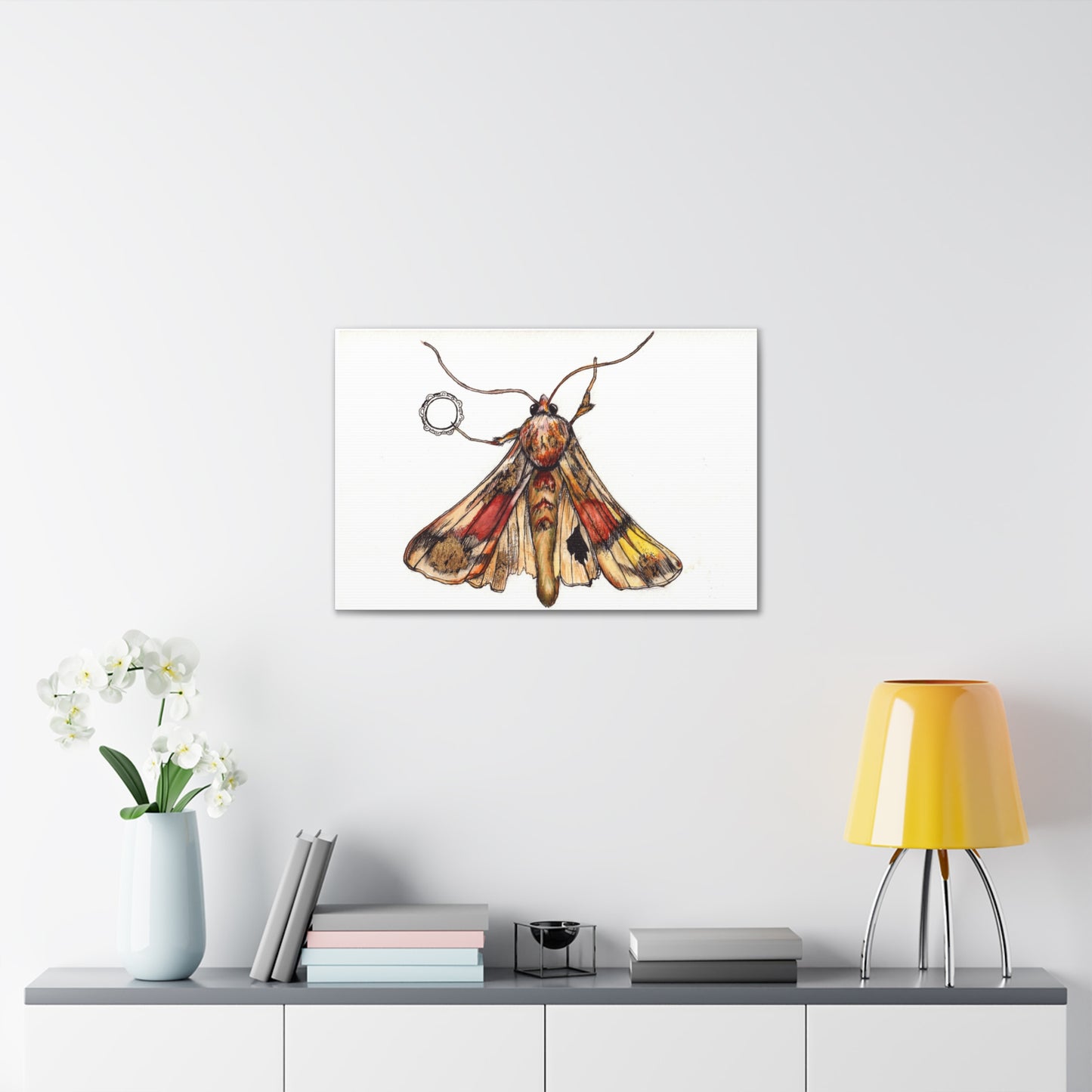 Moth -Canvas Gallery Wraps