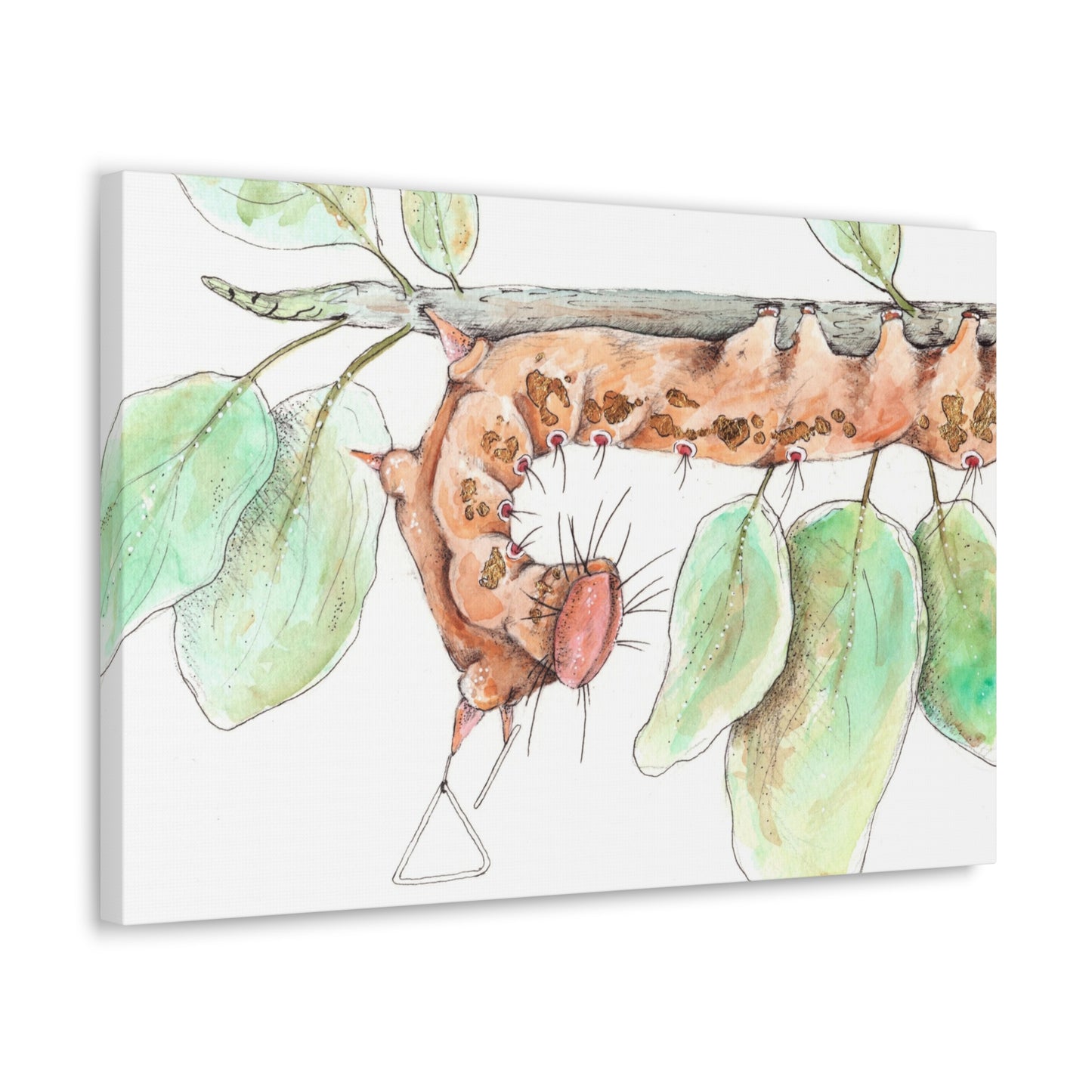 Caterpillar -Canvas Gallery Wraps