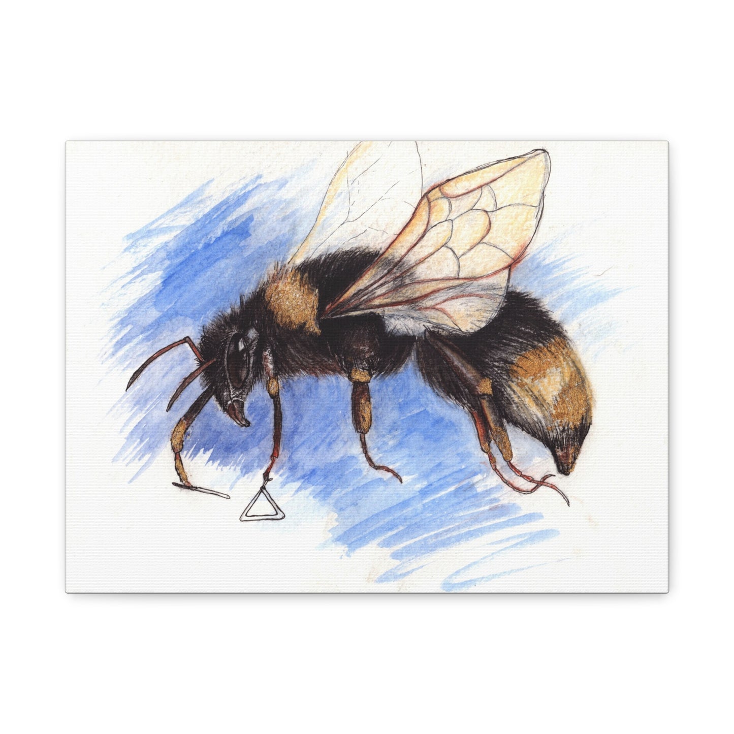 Whimsical Bee -Canvas Gallery Wraps