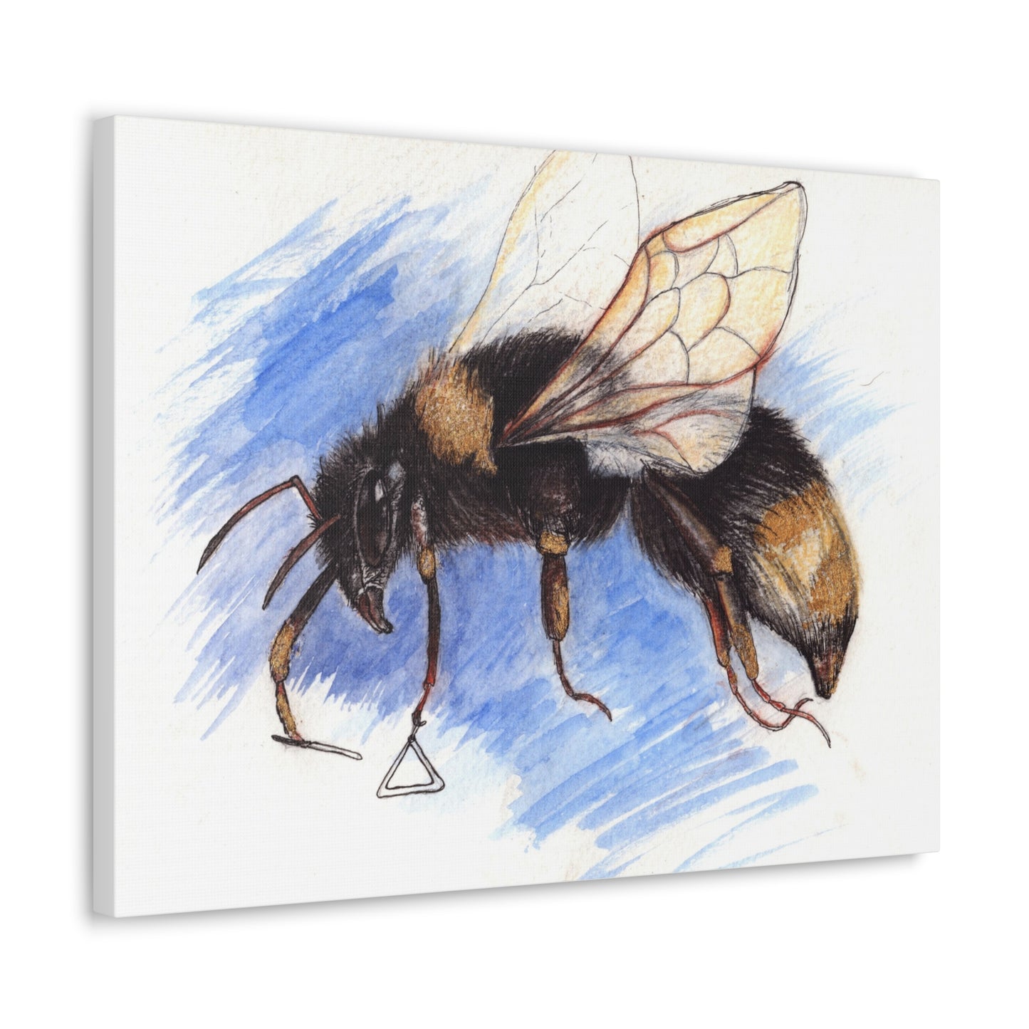 Whimsical Bee -Canvas Gallery Wraps