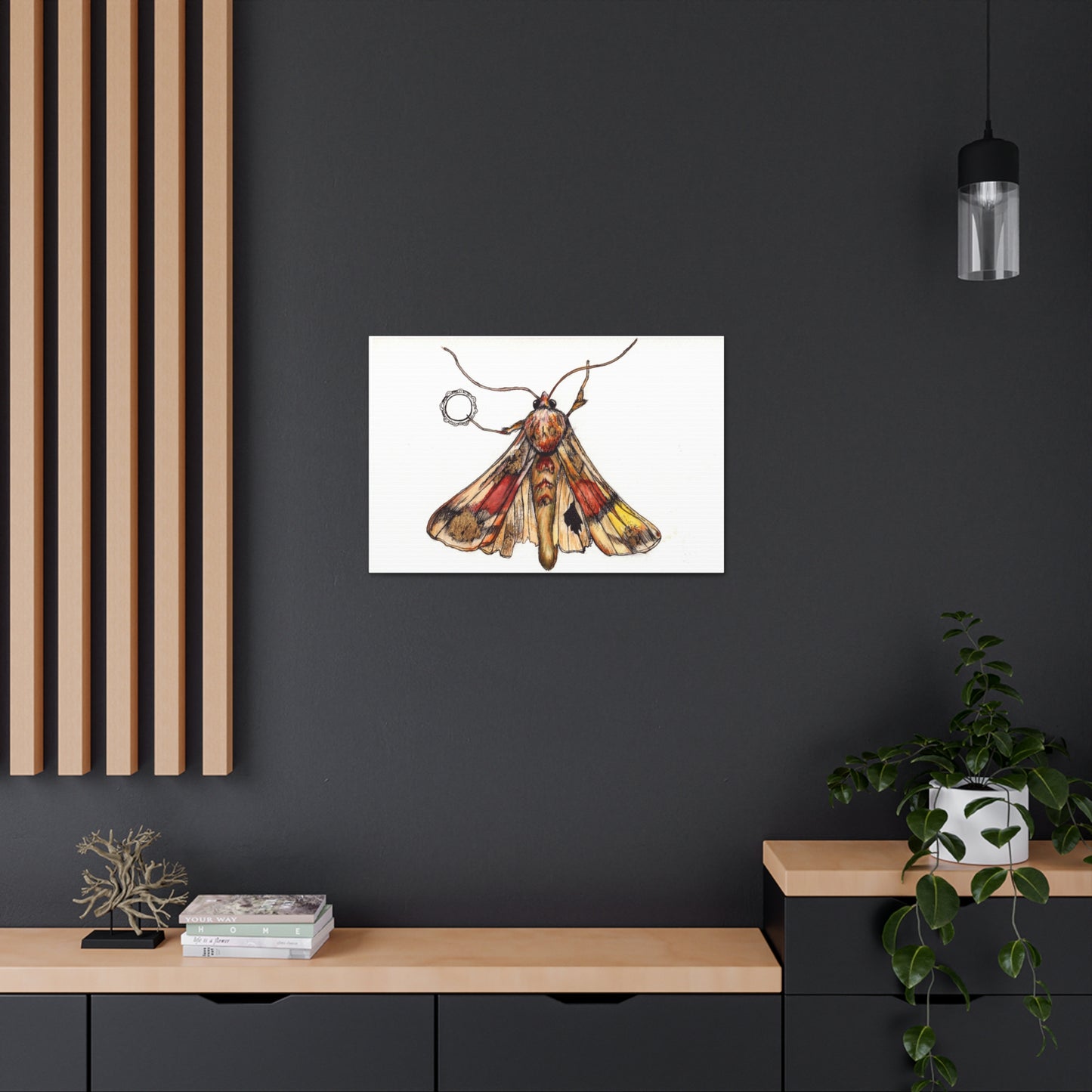 Moth -Canvas Gallery Wraps