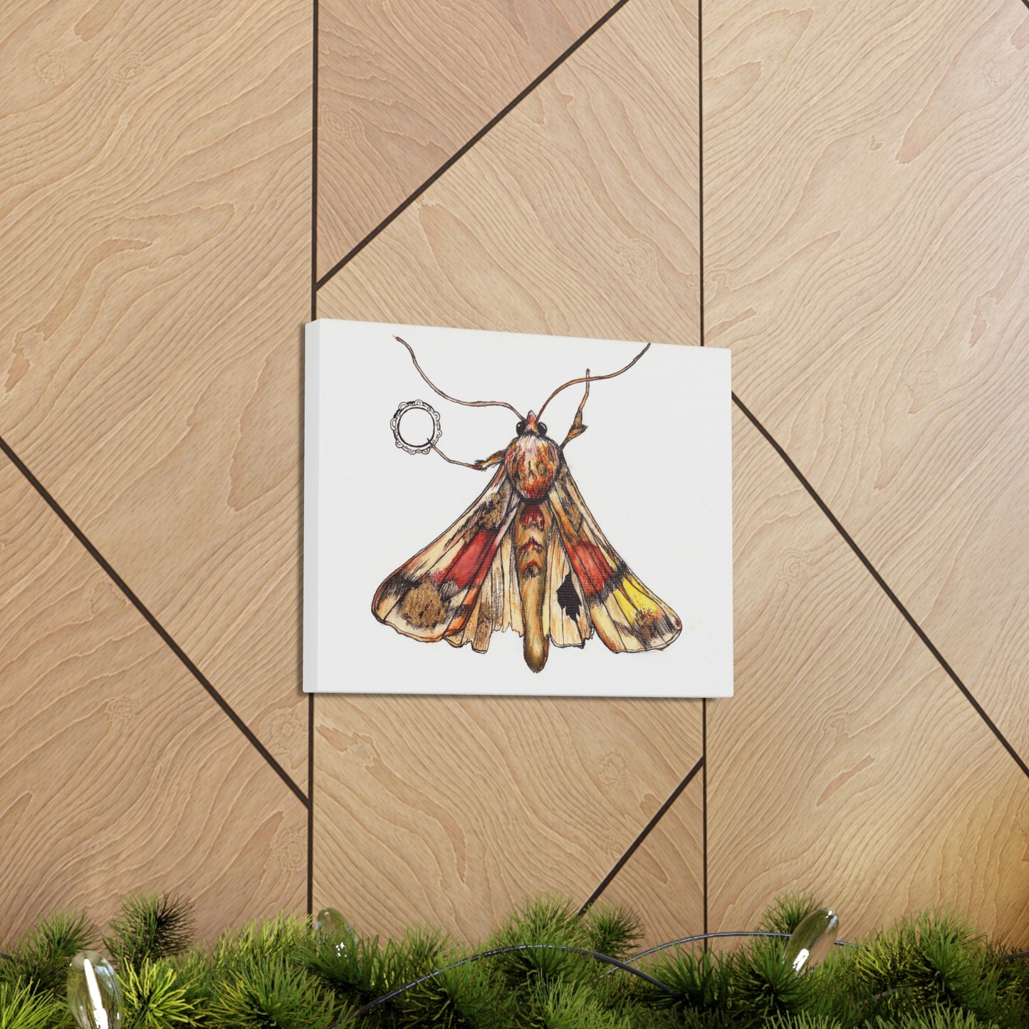 Moth -Canvas Gallery Wraps