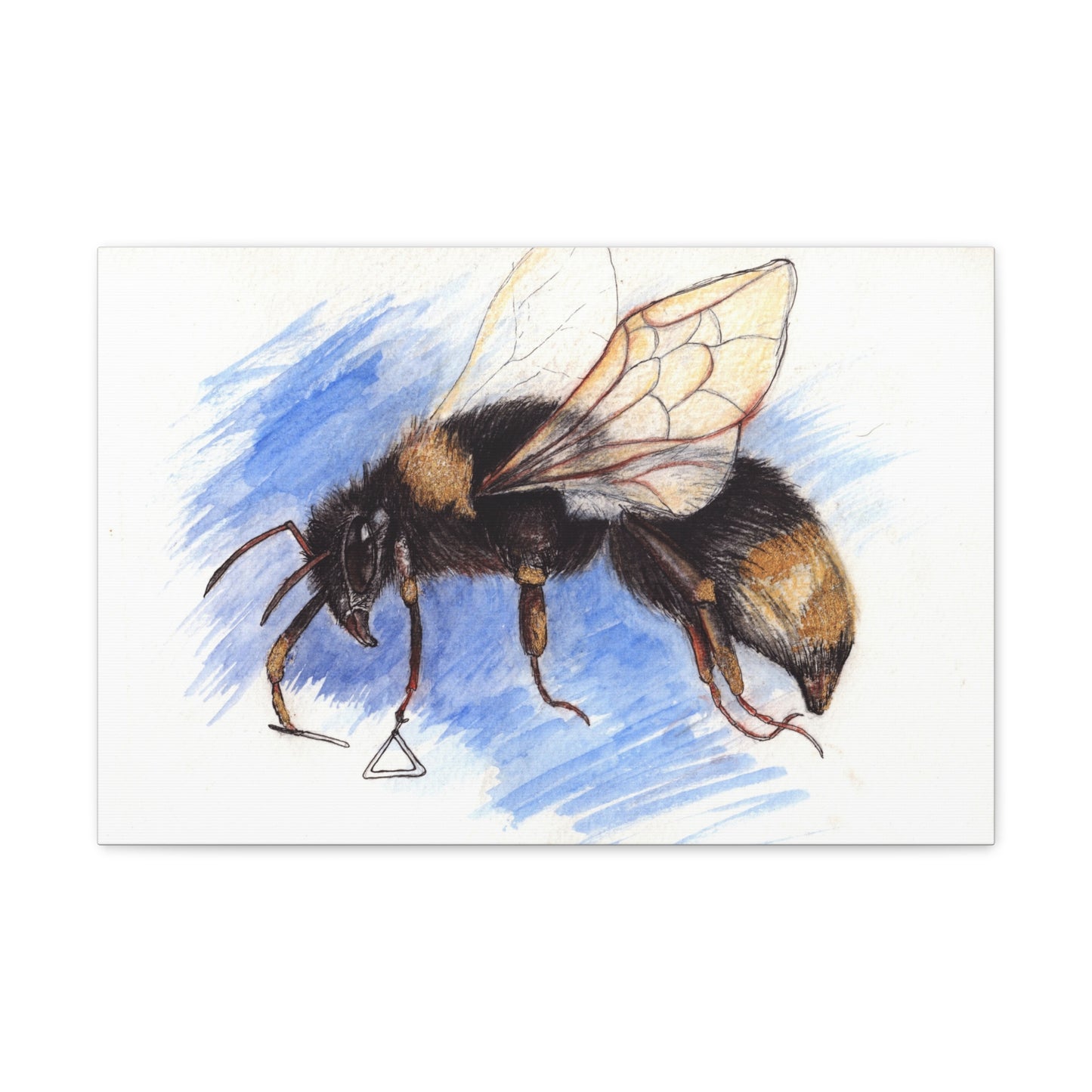 Whimsical Bee -Canvas Gallery Wraps