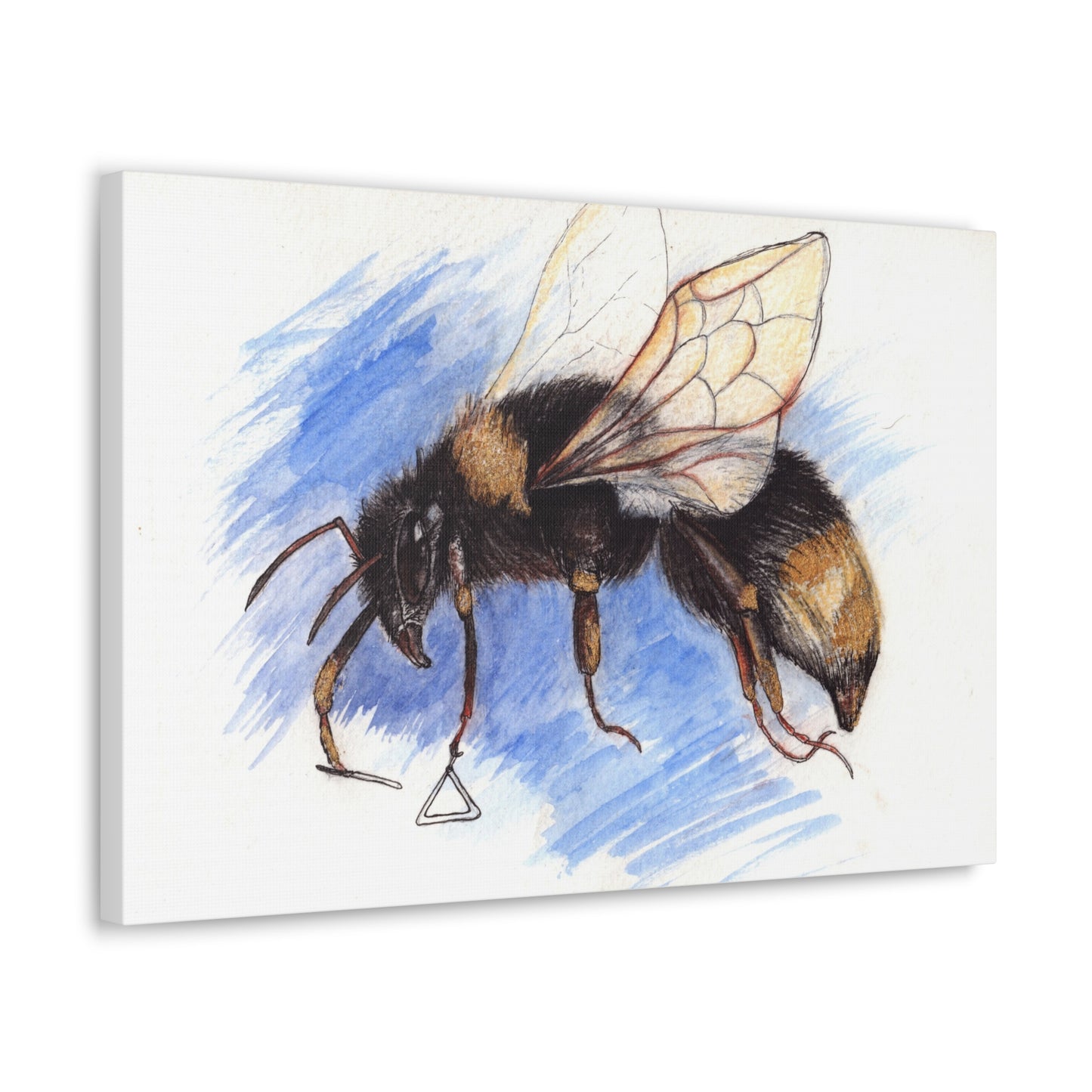 Whimsical Bee -Canvas Gallery Wraps