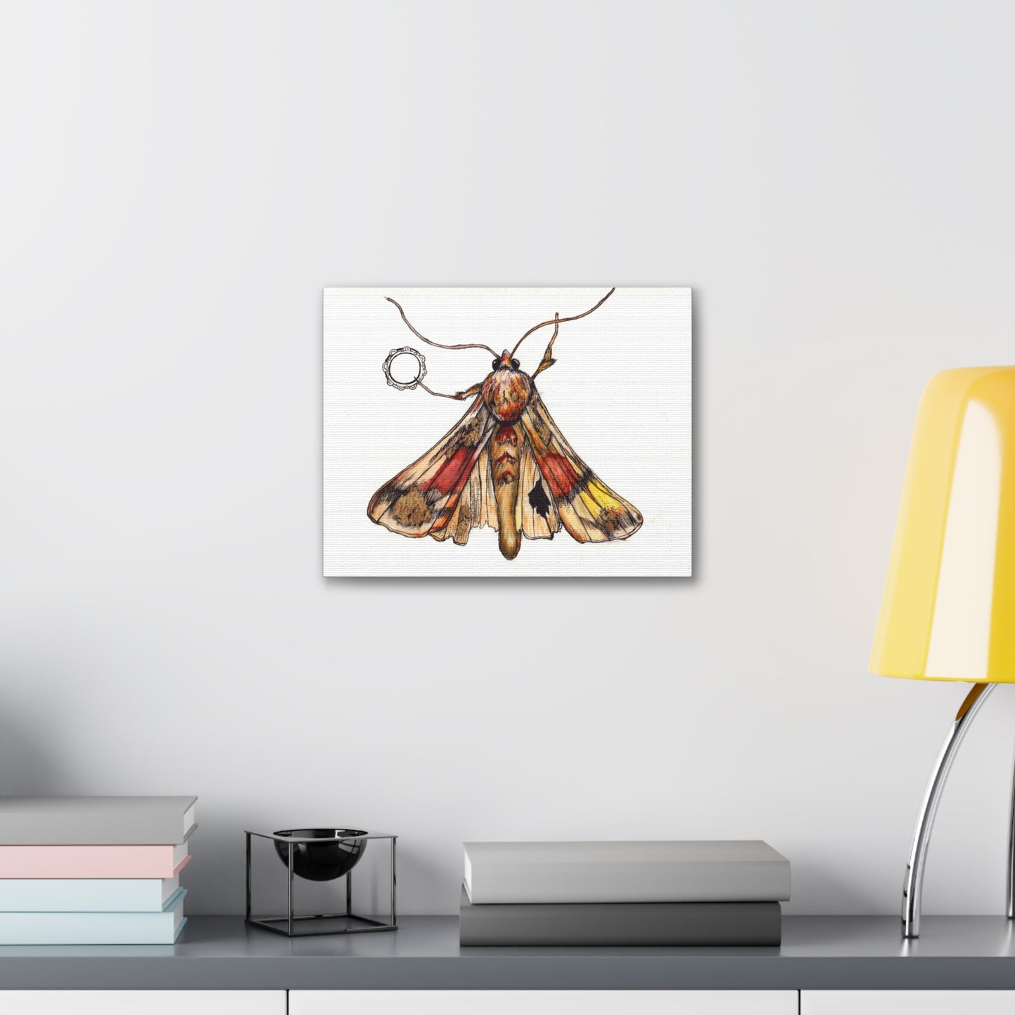 Moth -Canvas Gallery Wraps