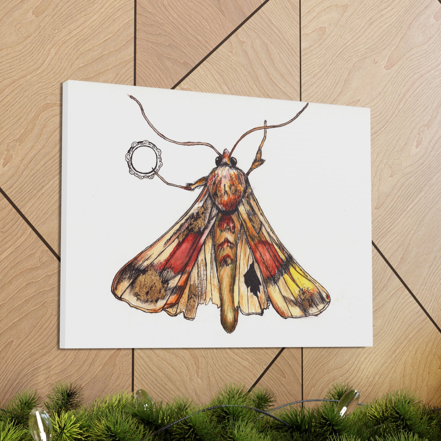 Moth -Canvas Gallery Wraps