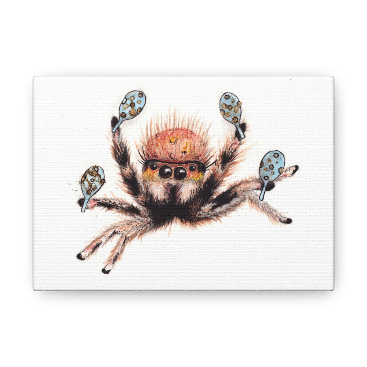 Cha Cha Spider -Canvas Gallery Wraps