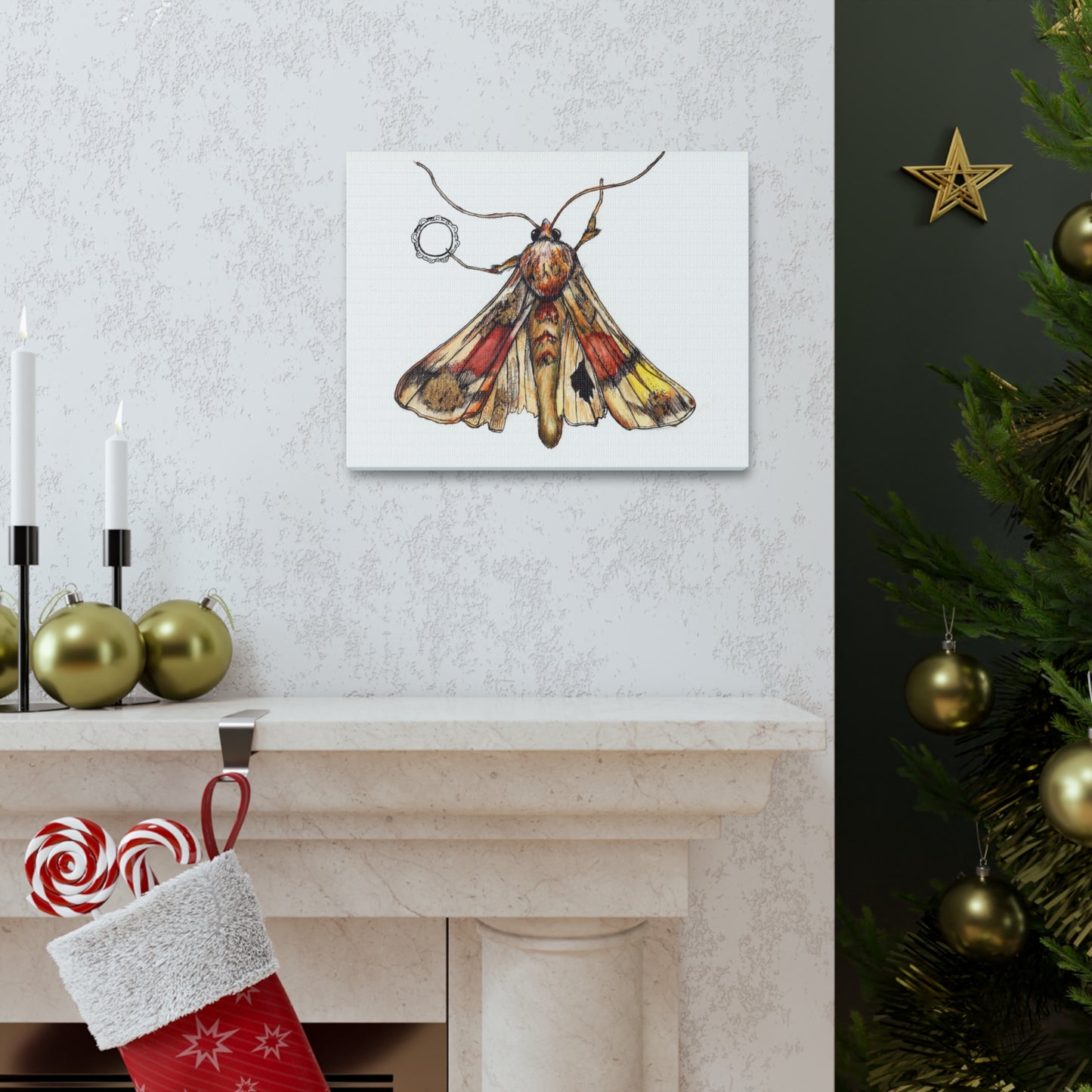 Moth -Canvas Gallery Wraps