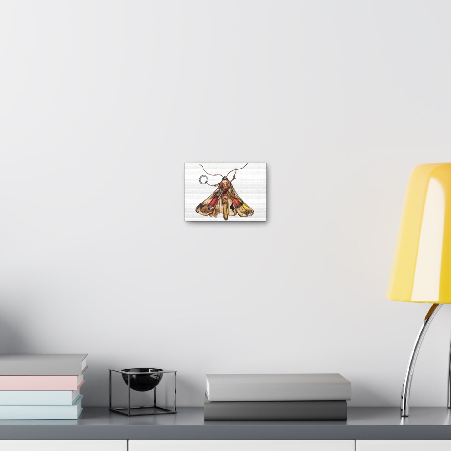 Moth -Canvas Gallery Wraps