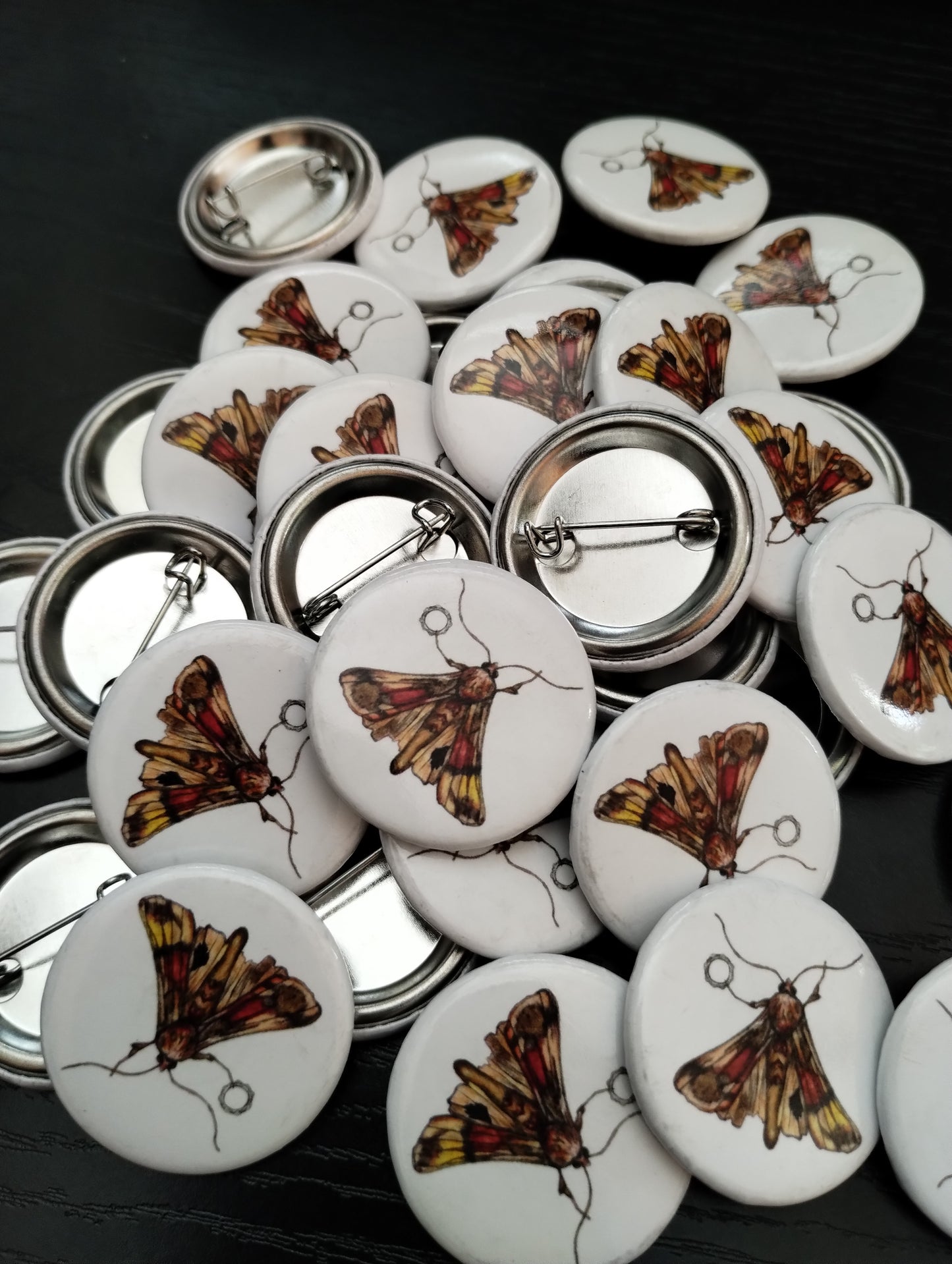 Moth Button Pin