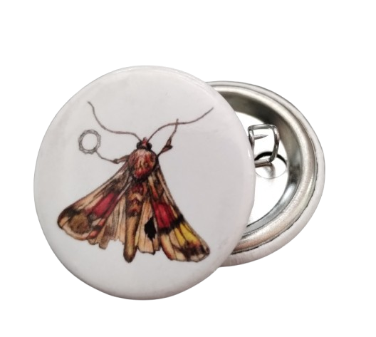 Moth Button Pin